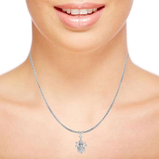 PN in plain platinum L