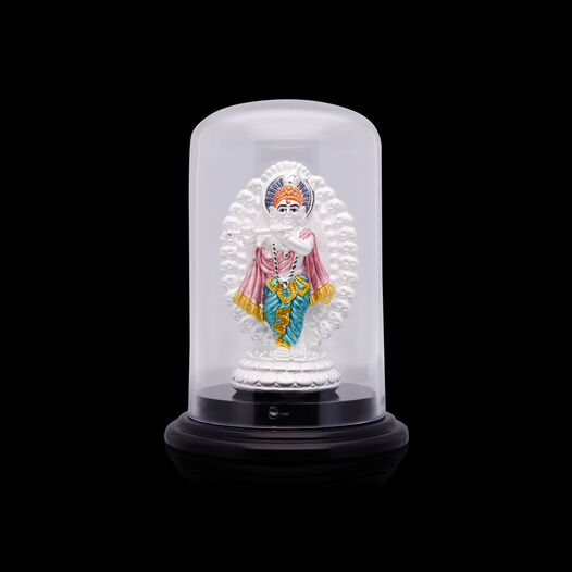 Idol Lakshmi Narayana Without Prabhavali