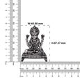 Idol Lakshmi Narayana Without Prabhavali