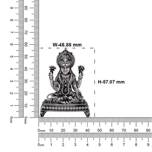 Idol Lakshmi Narayana Without Prabhavali