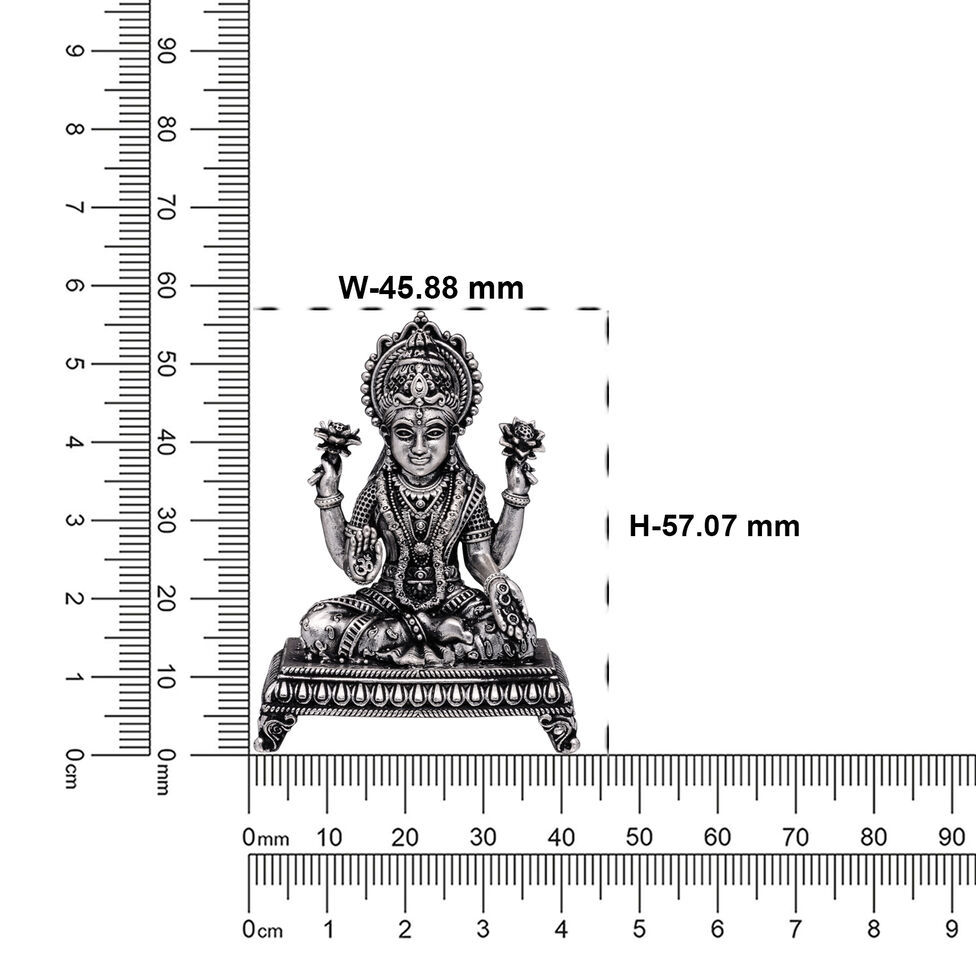 Idol Lakshmi Narayana Without Prabhavali
