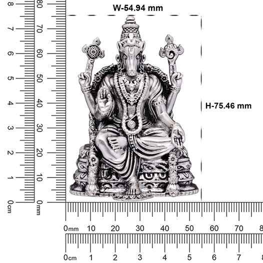 Idol Lakshmi Narayana Without Prabhavali